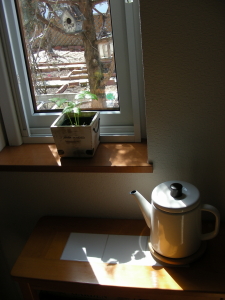 2017-04-14hizashi (1).JPG