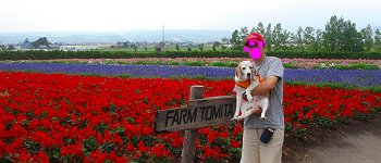 20130815ファーム富田