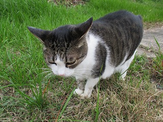 IMG_2672ss.jpg