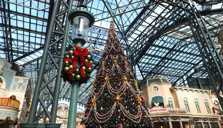 2012Xmas5
