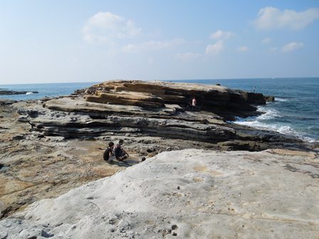 DSCN8778s.jpg