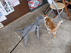 conv0700.JPG