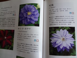 DSC01262.jpg
