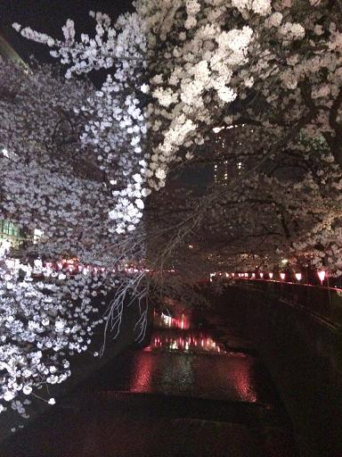 目黒川4.JPG
