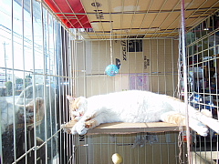 conv0062.JPG
