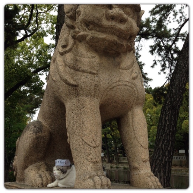 rblog-20130417210250-00.jpg