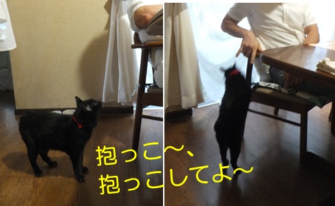 20120923_2.jpg