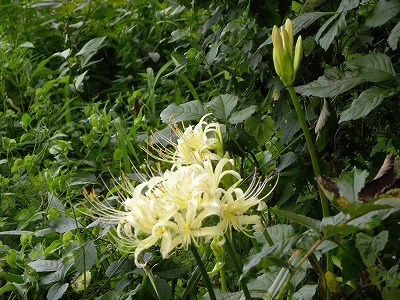 DSCN9456.jpg