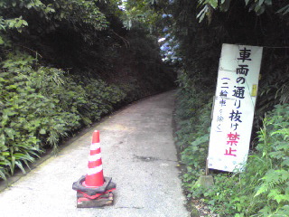 鎌倉の山道2012年７月・２
