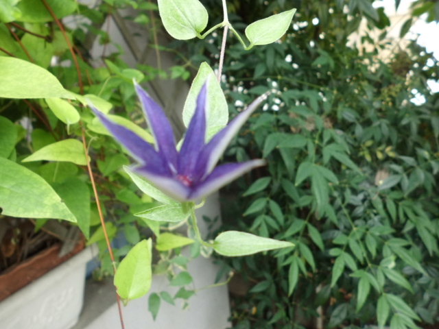 CIMG0572.JPG