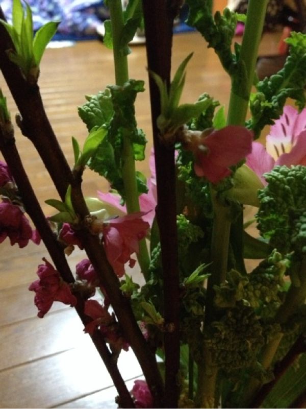 rblog-20140301211002-02.jpg