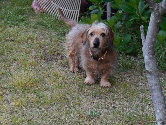 DSCN1570.JPG