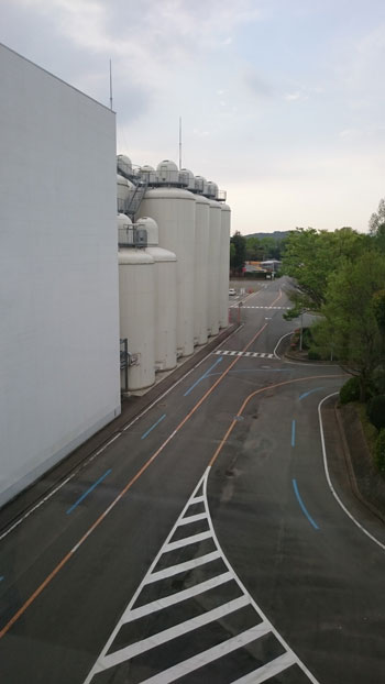 5461.jpg