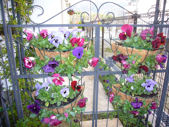 pmon