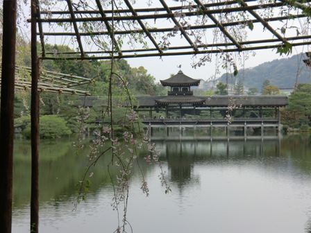 京都　平安神宮9