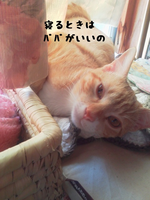 ﾊﾟﾊﾟが好き