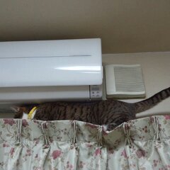 いたずらふくちゃん４