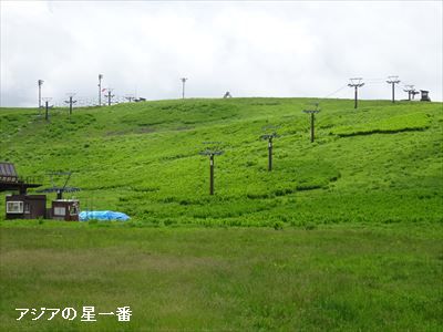 20160702 霧ヶ峰湿原11