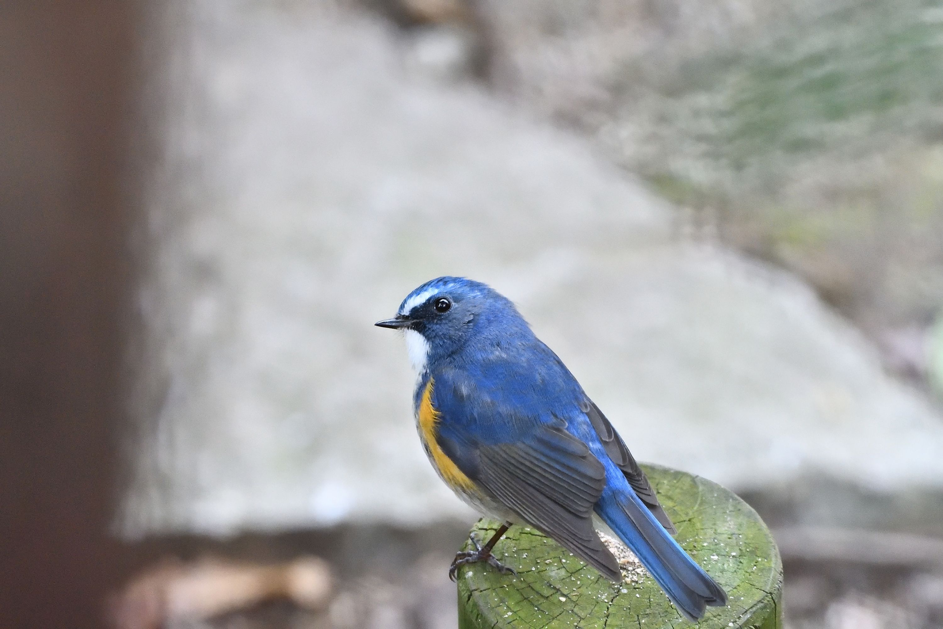 e799c0c668d9393b5f317571baf12b