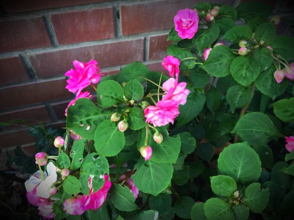 rblog-20160725203748-02.jpg