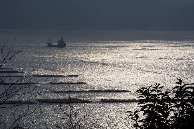 逆光の海