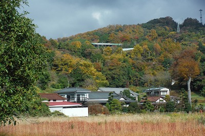 20141131中井紅葉