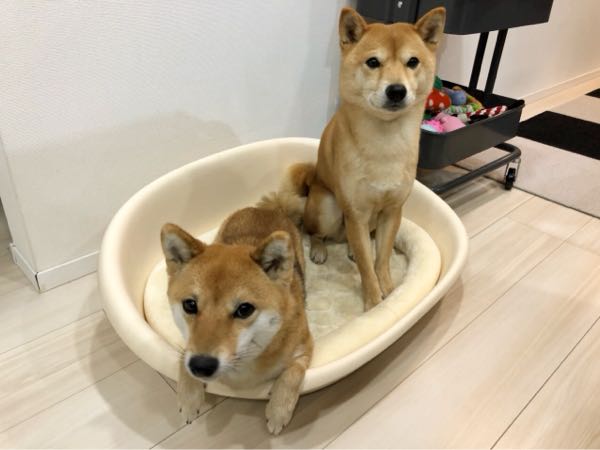 rblog-20171220091523-06.jpg