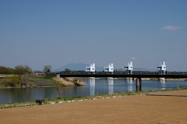 1.中の島橋と新岡堰.JPG