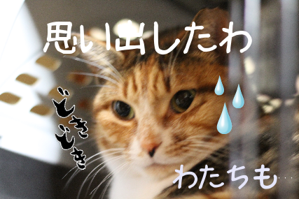 IMG_0262.png