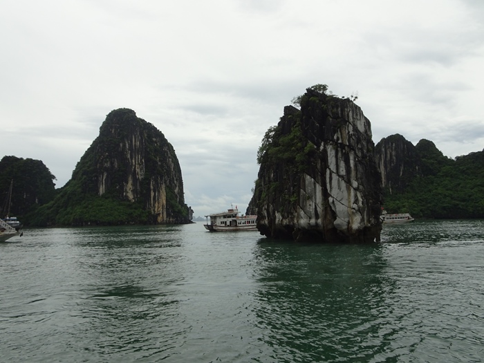DSC09517_R.JPG