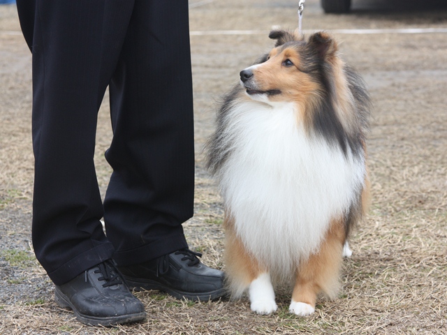 IMG_0802 - コピー.JPG