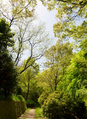 058 (365x500).jpg