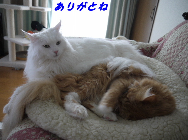 P1250137.JPG