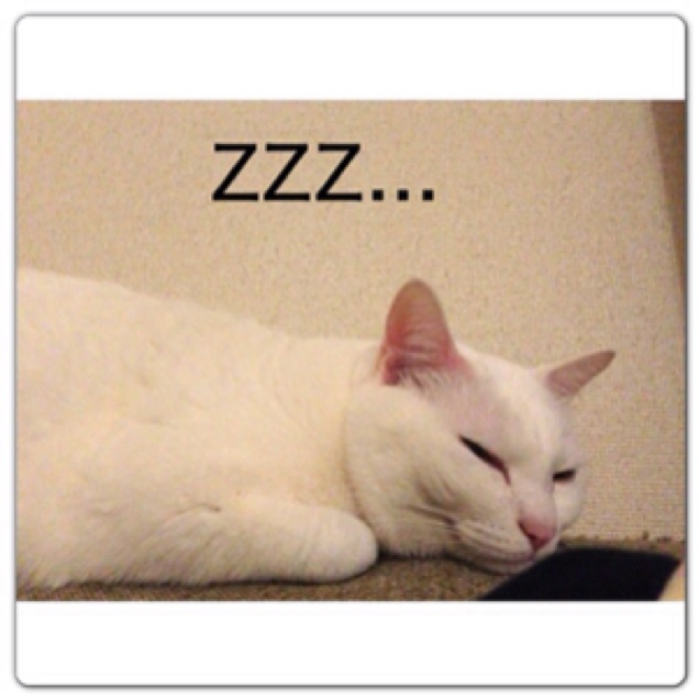 rblog-20130430165214-01.jpg