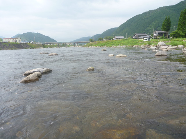resize0059.jpg