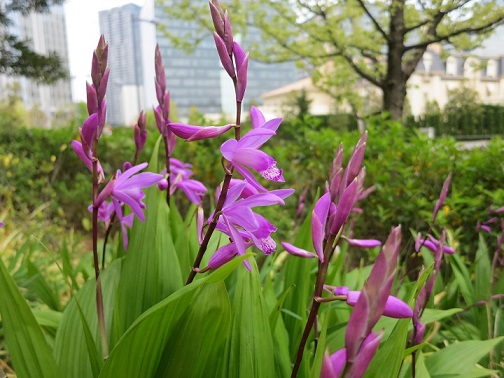 2014-4-19 002.jpg