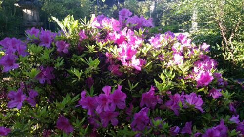 rblog-20160505205201-04.jpg