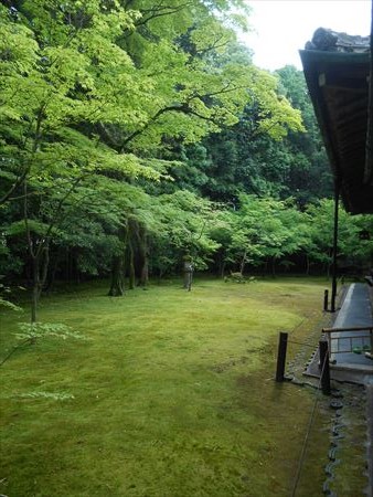 大徳寺　高桐院