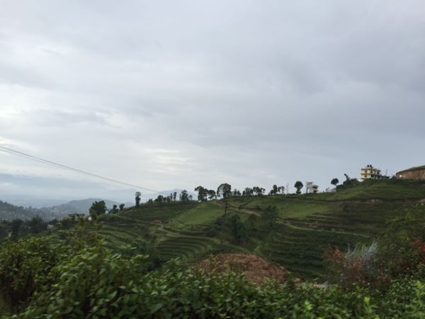 rblog-20150827170842-01.jpg