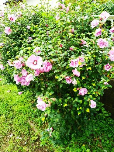 rblog-20180919115653-03.jpg