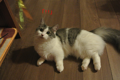 mumu9.jpg