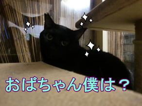 鈴　僕は？.JPG