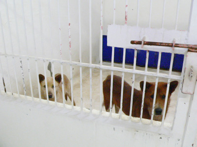 20140623d.jpg