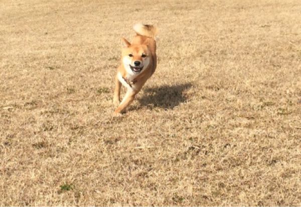 rblog-20160221153207-01.jpg