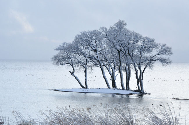 雪５