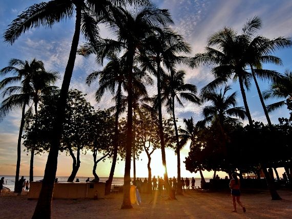 Hawaii ハワイ ワイキキ ファーマーズマーケット ビーチ
