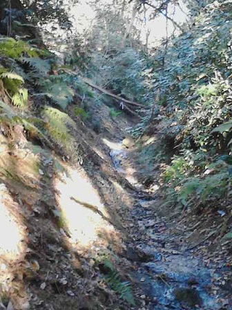 K0050083.JPG