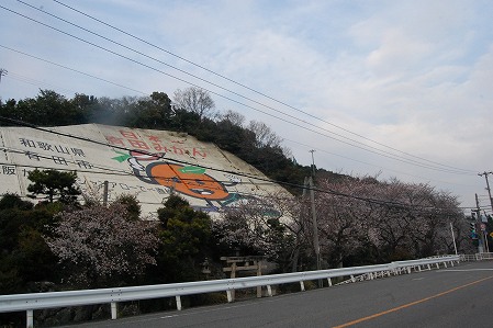 s-DSC_0522.jpg