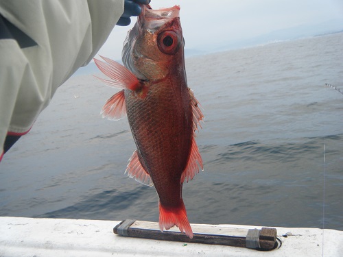DSCF1814.JPG