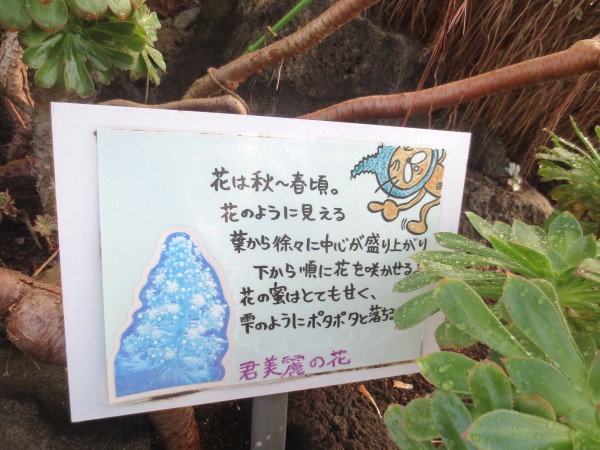 シャボテン公園